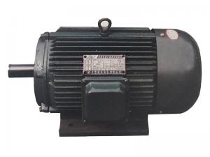 YD系列三相多速異步電動機